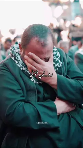 shia n e Ali as 🤲🤲🤲🙏🙏🙏🙏🙏🙏 #shiastatus #shianeali #azadar #azadariehussain #karbala_live_views 