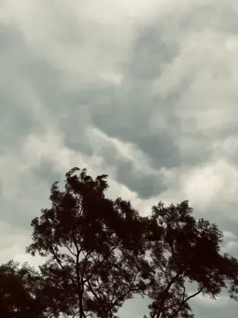 Sad BG 👍 #capson_video #bg #sigma #new_trending #sad_bg @TikTok 