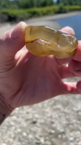 Lovely agate from today with @bekah.rocks #rocktok #agate #pnw #fyp 