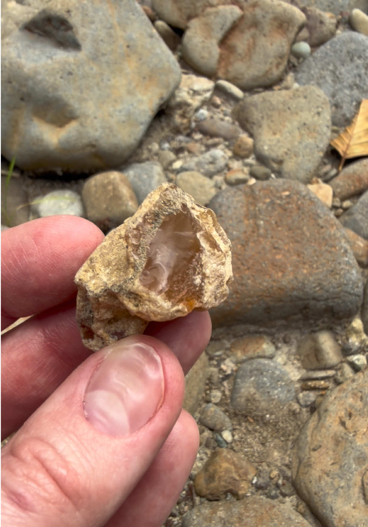 SW Washington always providing amazing treasures 🥰 #rockhound #rockhounding #agate #washington #carnelian 