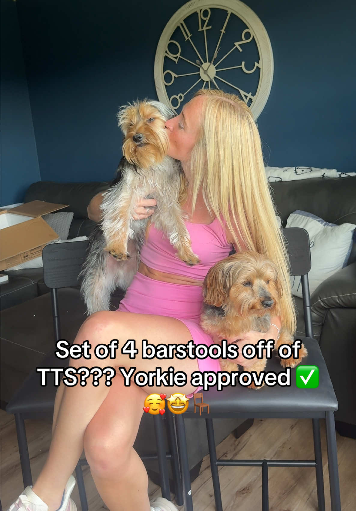 A tts find for your house or apartment 🙌🏼🤩 these will look so nice next to a high round table or island!! 🫶🏼🪑  #furniture #chair #house #apartment #yorkie 