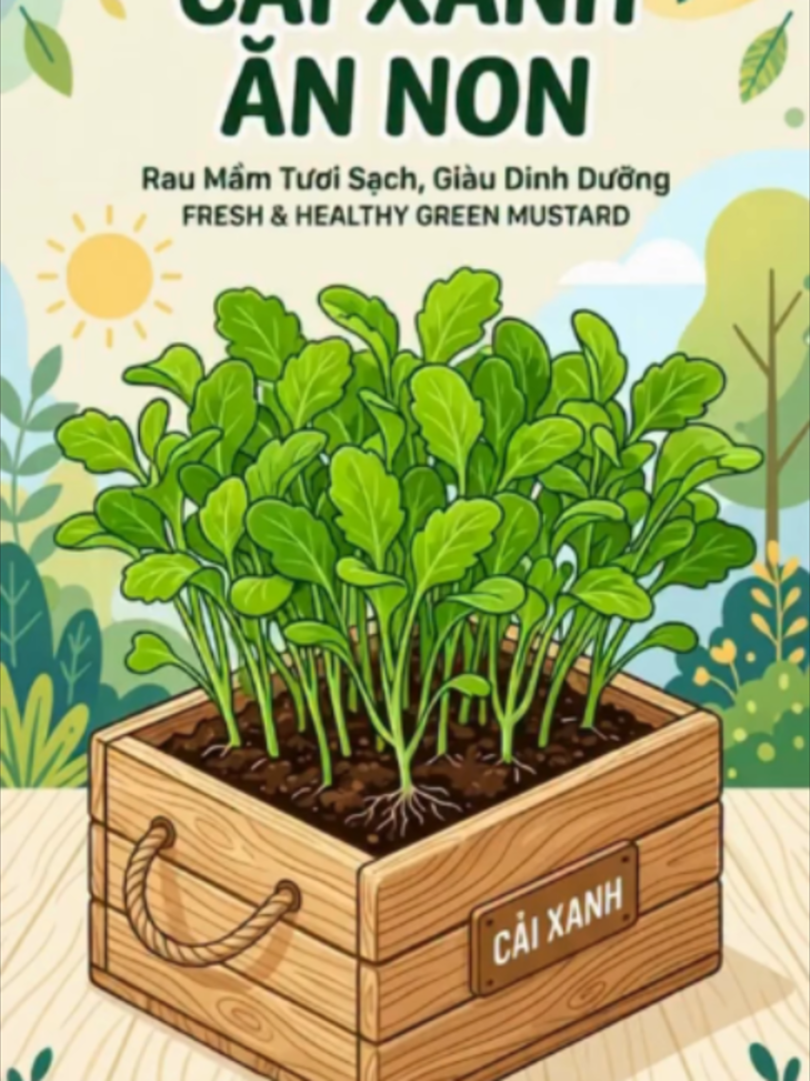 Cách Trồng Rau Cải Ăn Non Từ Hạt Giống Cho Người Mới Bắt Đầu Bạn muốn tự tay trồng những khay rau cải ăn non sạch, tươi ngon ngay tại nhà? Trong video này, 3SFarm sẽ hướng dẫn chi tiết cách gieo hạt giống cải ăn non giúp hạt nảy mầm nhanh, cây sinh trưởng khỏe và cho thu hoạch chỉ sau thời gian ngắn. 🌱 Nội dung video: ✔️ Cách chọn hạt giống cải ăn non chất lượng cao. ✔️ Chuẩn bị đất và giá thể gieo hạt. ✔️ Kỹ thuật gieo hạt giúp tăng tỷ lệ nảy mầm. ✔️ Cách chăm sóc để rau phát triển xanh tốt, ít sâu bệnh. ✔️ Thời điểm thu hoạch để rau đạt chất lượng ngon nhất. Rau cải ăn non rất dễ trồng, thích hợp trồng trong khay, chậu hoặc thùng xốp tại ban công, sân thượng và vườn nhà. Chỉ với một chút thời gian chăm sóc, bạn sẽ có nguồn rau sạch, an toàn cho cả gia đình. 👉 Hãy nhấn Like, Share và Đăng ký kênh để theo dõi thêm nhiều video hướng dẫn trồng rau hữu ích từ 3SFarm. #CaiAnNon #HatGiongCaiAnNon #TrongRauTaiNha #RauSach #HatGiongRau #3SFarm #VuonRauGiaDinh