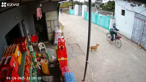 Cười ko ngậm được mồm. Đi thì đi đi lại còn với cái chân trêu 🐕.  Ngã xong lại bảo do 🐕 nhà mày ấy 😆😆😆 #xuhuong #haihuoc #xaykenh #Rell #xuhuongfbシ 