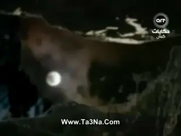 وادي الذئاب الجزء الثاني الحلقه42  لمشاهده المزيد اضغط لايك  