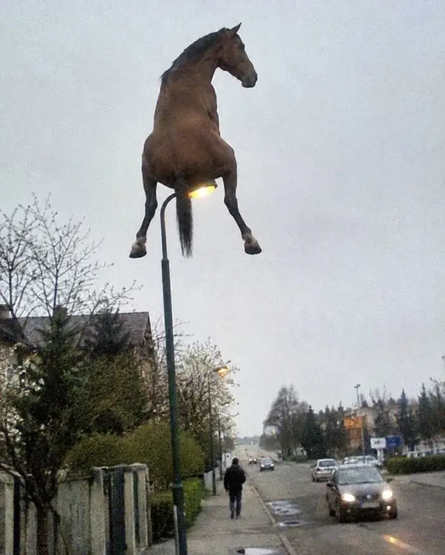 #horse #funny #meme #trend #viralphoto 