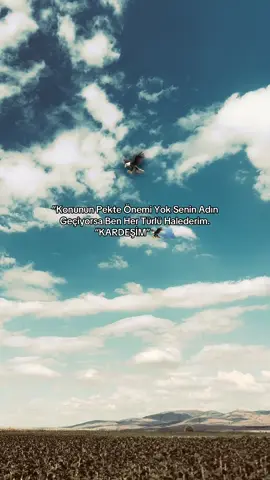 Etiketle 🦅😉#storylikvideolar📌 #albunukeşfetetiktok #duygusalvideolar #duygusalsözler #candostunuetiketle 