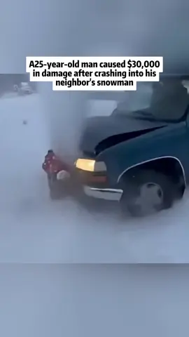 A25-year-old man caused $30,000 in damage after crashing into his neighbor's snowman.#fyp #crime #news #breakingnews #court 