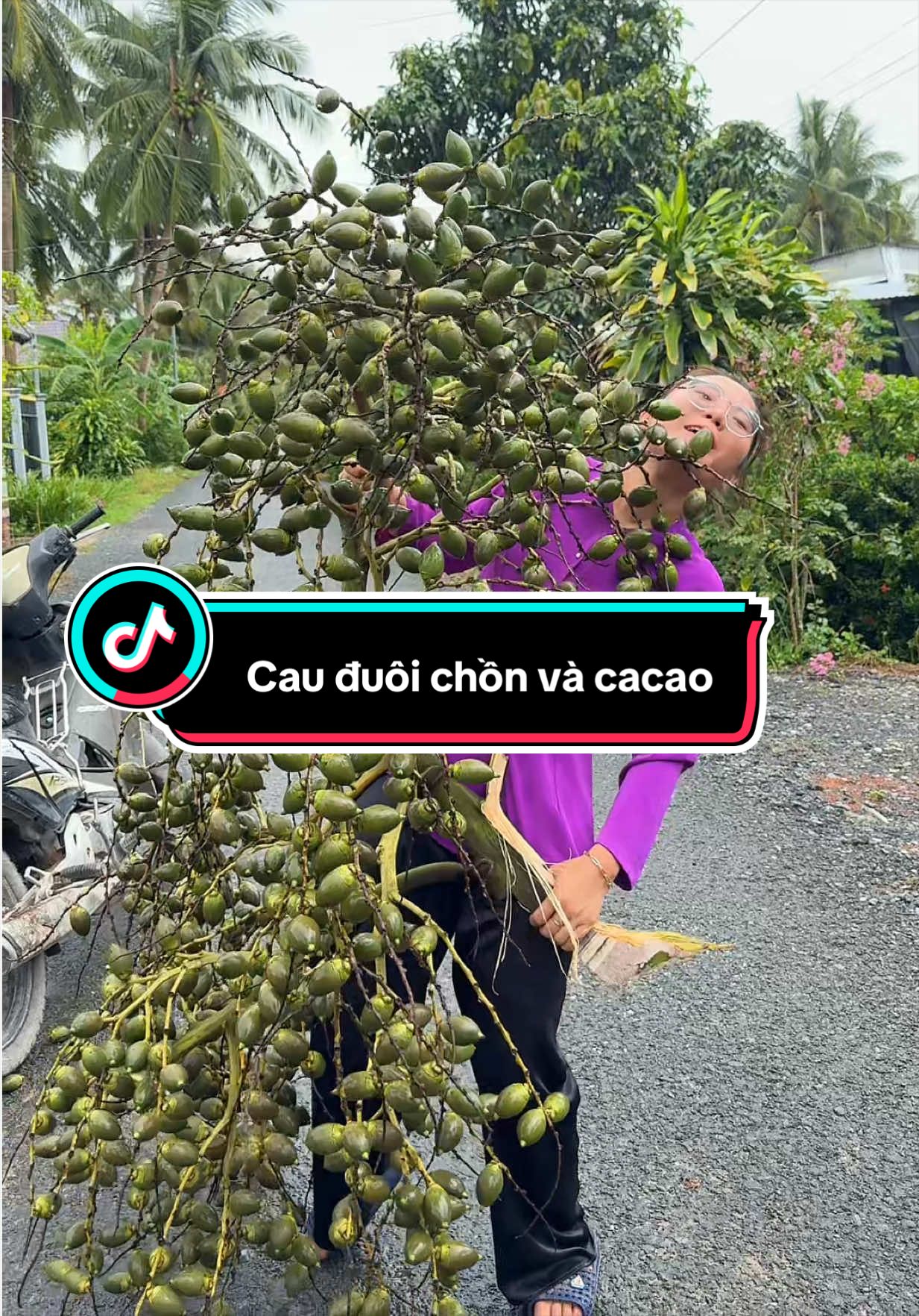 Thi có cau đuôi chồn và cacao gửi toàn quốc nhen cả nhà