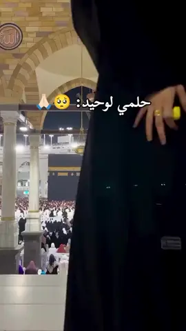 اللهم ارزقني زيارة بيتك الحرام، واكتب لي العمرة والحج، ولا تحرمني من رؤية الكعبة المشرفة. آمين. 🤲🕋