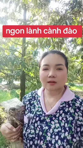 đau lưng mõi gối tiểu đêm thận yếu #liveincentiveprogram #24hrmehaktaclean #xuhuongtitok #xuhuongtitok #thanyeu 