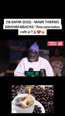 #18safar🥰💯 #boromdarounoreyni #boromdarouchickory🚩🏴 #noreyni_protége🙏🚩🏴👌 #chicory 