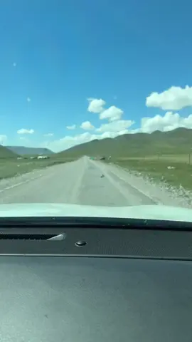 Two rats are fighting.