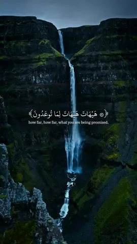 Surah Al-Mu’minun | Yaseer Al Doosari #quran #allah #zeealquran #yaseeraldosari #foryoupage 
