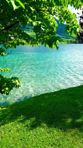 #foryou #nature #calm #fyp #vibes 