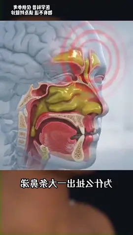 Tại sao chỉ cần hít một hơi sâu, đầu óc lập tức sảng khoái nhưng vài phút sau lại nghẹt mũi trở lại?