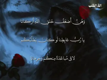 إن العيون التي في طرفها حور🌹🌹 قتلننا ثم لم يحيين قتلانا🌹🌹 جرير بن عطية بن حذيفة الخَطَفي بن بدر الكلبي اليربوعي التميمي (33 هـ / 653 م – 110 هـ / 728 م) شاعر من أعلام العصر الأموي. #edit #fyp #شعر #قصايد #alightmotion 