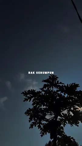 Mimpi Manis || Bak serumpun sumpah janji berdua #liriklagu #overlay #fypviral #CapCut  