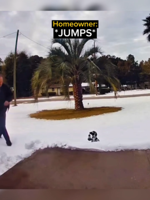 Homeowner Goes Down on the Slippery Ground and Falls Again the Second He Stands Up