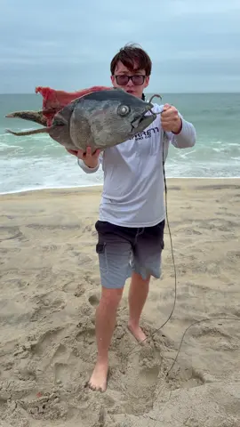 🦈 BIG BAITS == BIG FISH 🦈  #lbsf #thefishermeng #landbasedsharkfishing #beachlife #sharkfishing 