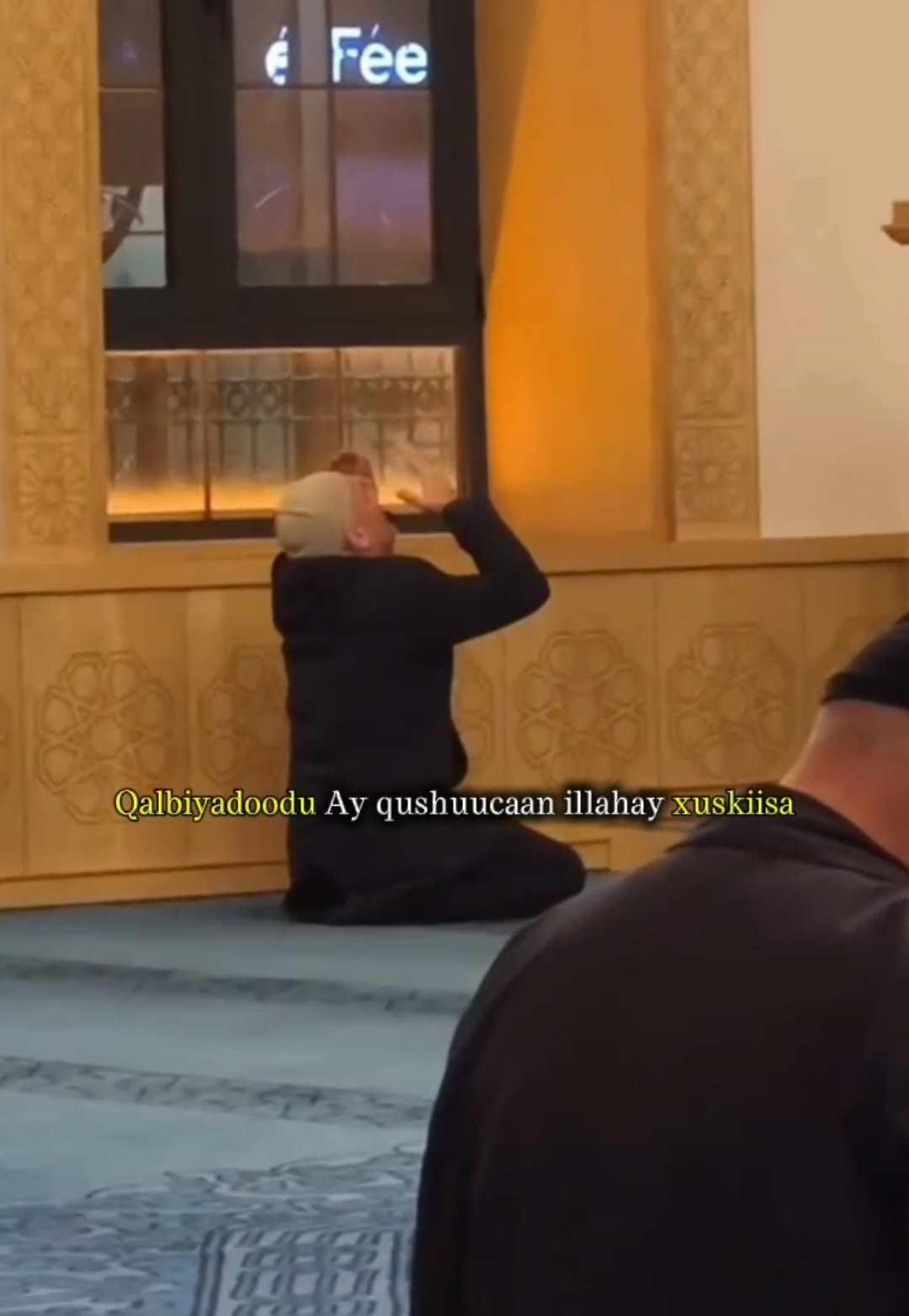 #sheekhmustafe #wacdi #waano #millionviewsvideo #fyp 