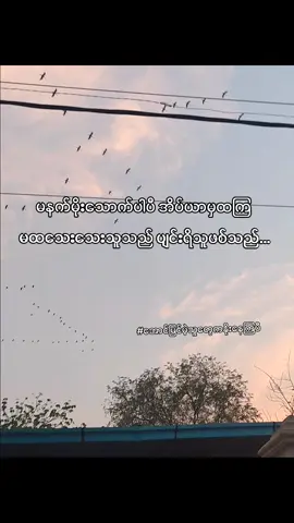 သင်ကိုတိုင်နိုးထရမဲ့အချိန်ရောက်လာပီ...#views #morning #ထကြသေးဘူးလား😆 #fypシ゚viral #fyp 