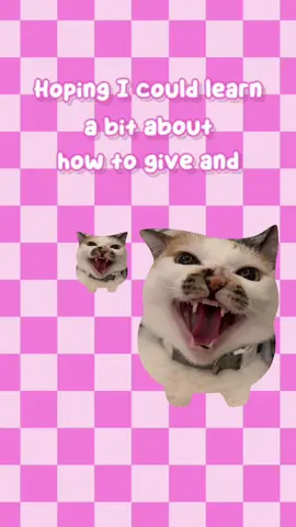 MEOW !!!