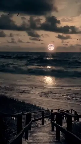 #8kwallpaper #viralvideo #background #video#1millionviews 