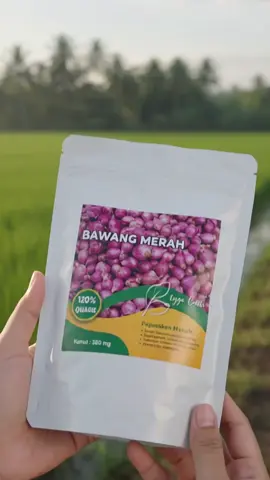 tanam benih bawang merah lokal kualitas unggul#benih#benihbawangmerah#petanimuda #bestbuy #creatorsearchinsights 