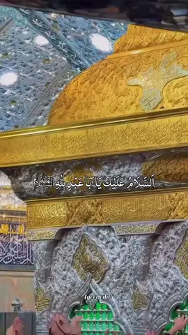 سلام یا آقا و مولا یا حسین علیہ السلام 🙏🙏🤲🤲🤲🤲🤲🤲🤲 #shiastatus #yahussainعُ🙏🏻🚩🚩 #molahussainع🏴🚩 #imamhussainع❤️ #karbala 