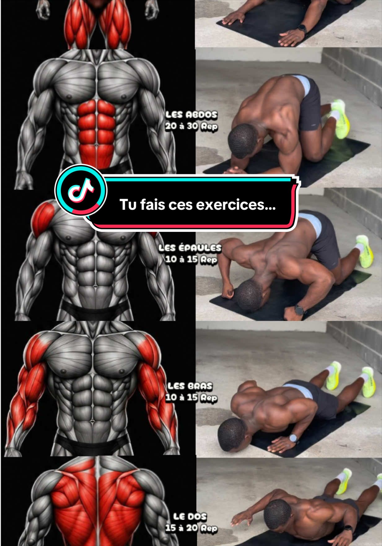 Tu fais ces exercices… mais sais-tu vraiment quels muscles tu travailles ? Enregistre cette vidéo pour ta prochaine séance. 💪📌 #m#musculationf#fitnessh#homeworkoutsports #debutant 