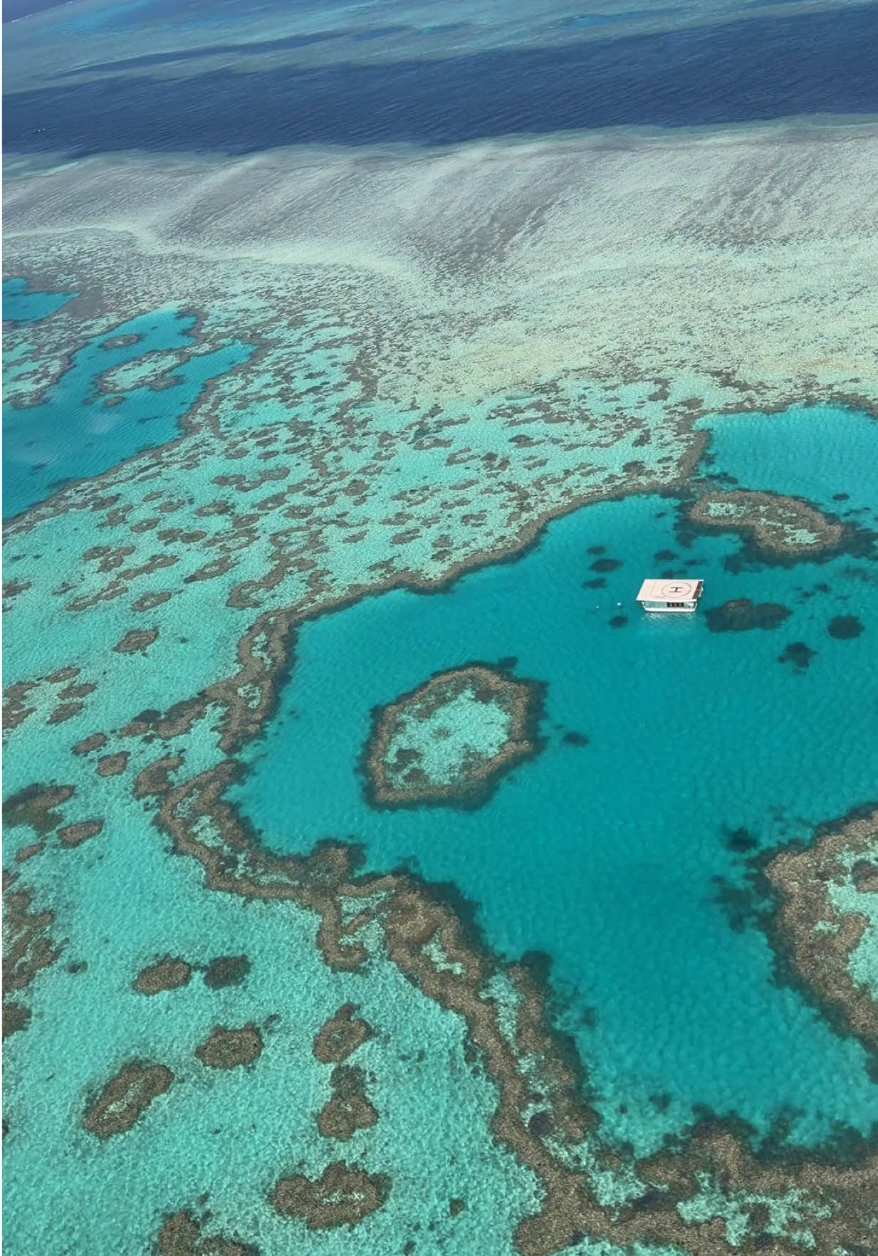 Home to one of the Seven Natural Wonders of the World and the world’s most beautiful beach… Welcome to the Whitsundays. 🌴🇦🇺 #a#australiav#visitaustraliag#greatbarriereefw#whitehavenbeachqueensland 