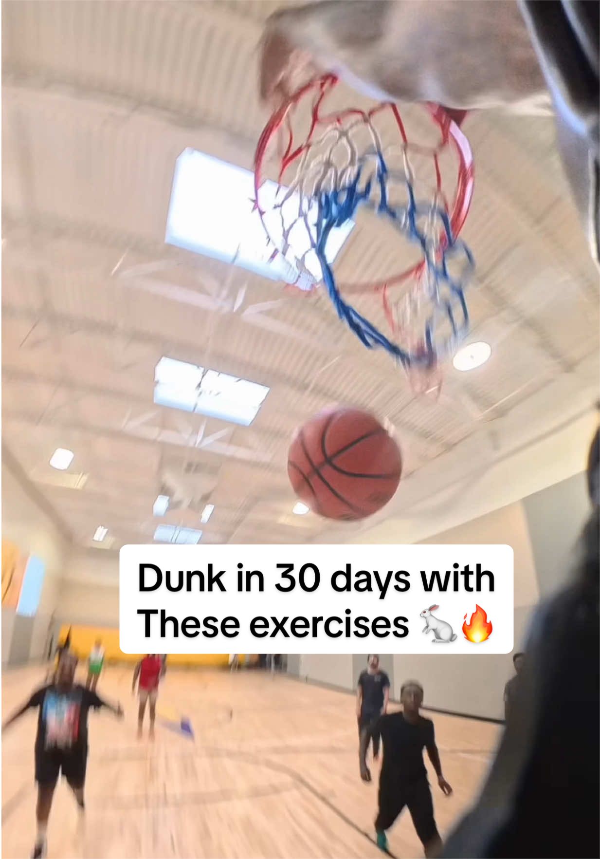 Dunk in 30 days with these 4 exercises 🐇🔥 #dunk #training #basketball 
