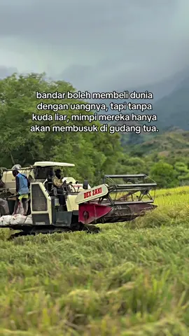 #katakata #acehviral #fyp 