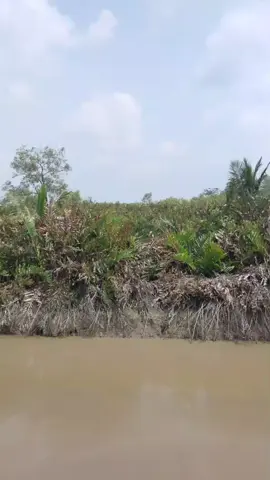 di jual lahan 20 hetar kosong 