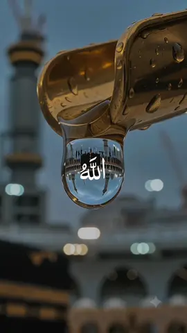 Hasbi Rabbi 🫠🕋❤️..#Makkah #Madina #muhammadpbuh #Islam #islamiccontent 