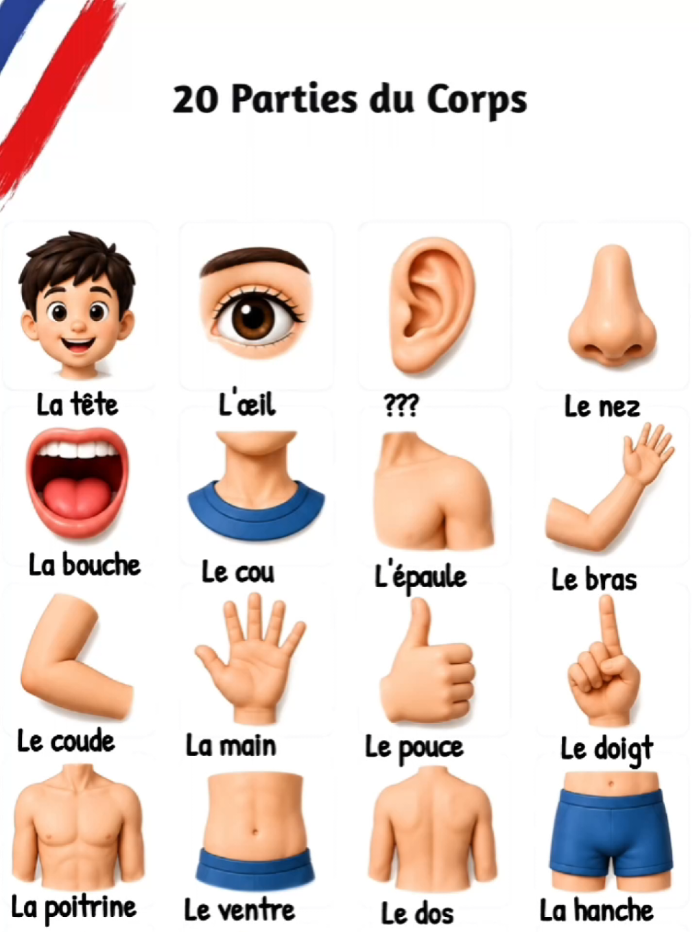 Apprenez 20 parties du corps en français avec des illustrations simples et faciles à mémoriser. 📚🇫🇷 Répétez chaque mot et améliorez votre vocabulaire français. Quel score pouvez-vous obtenir ? Écrivez-le en commentaire ! #lernen #francetiktok #learnfrench #parisfrance 