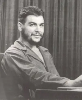 #cheguevara #che #socialism #fypシ #theory 