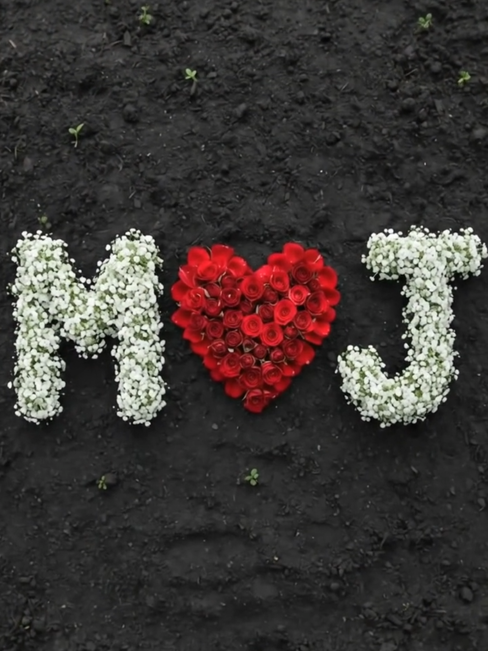 Replying to @mdjewelhasan12 done #flower #fypppppppppppppp #viral #trending #flowerart 