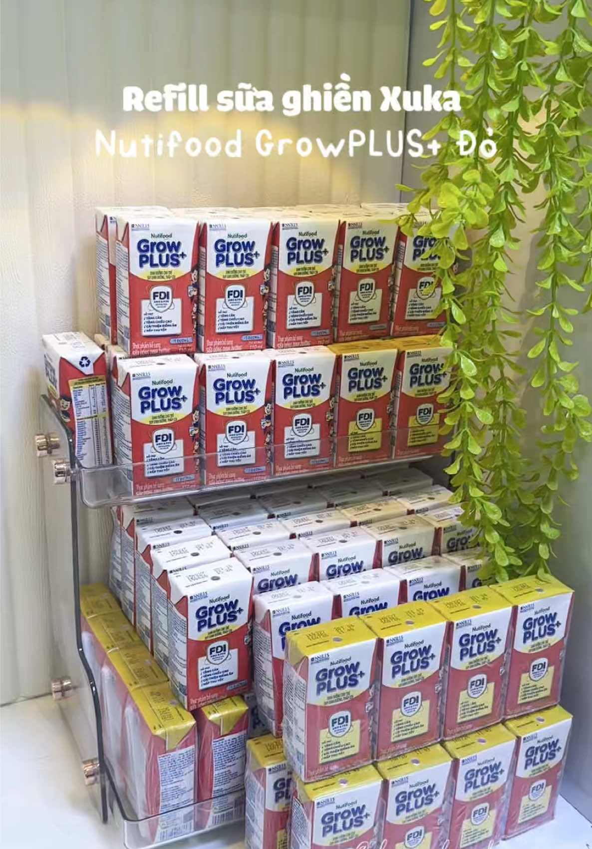 Sữa ghiền của chị 2 Xuka  #NutifoodGrowPLUS #DonBayTangCan #TayChamHangNang