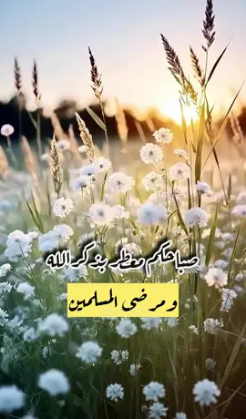 #صباحكم_معطر_بذكر_الله🤲🦋🕊💜❤🤍💚 #اكثروا_من_الصلاة_على_نبينا_محمد #اللهم_صلي_على_نبينا_محمد #اكسبلو #دعاء_يريح_القلوب 