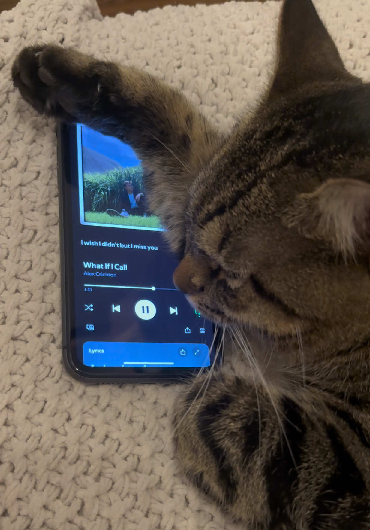 Rory’s newest addition to her playlist @Alex #alexchrichton #music #undergroundmusic #spotify #cat 