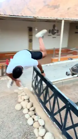 #سنبل 