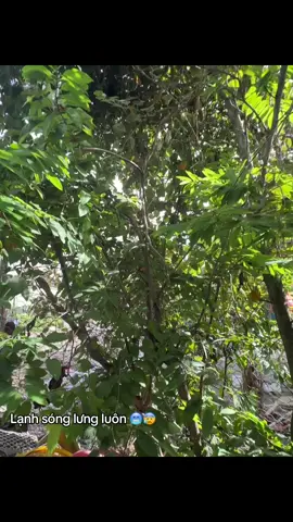 Mn có thấy cái em đang thấy hog😰😰😰