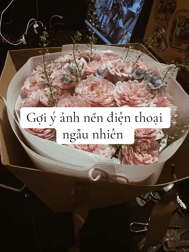 #junnykhongthichanrau #xh #ảnhnềnđiệnthoại #pinterest 