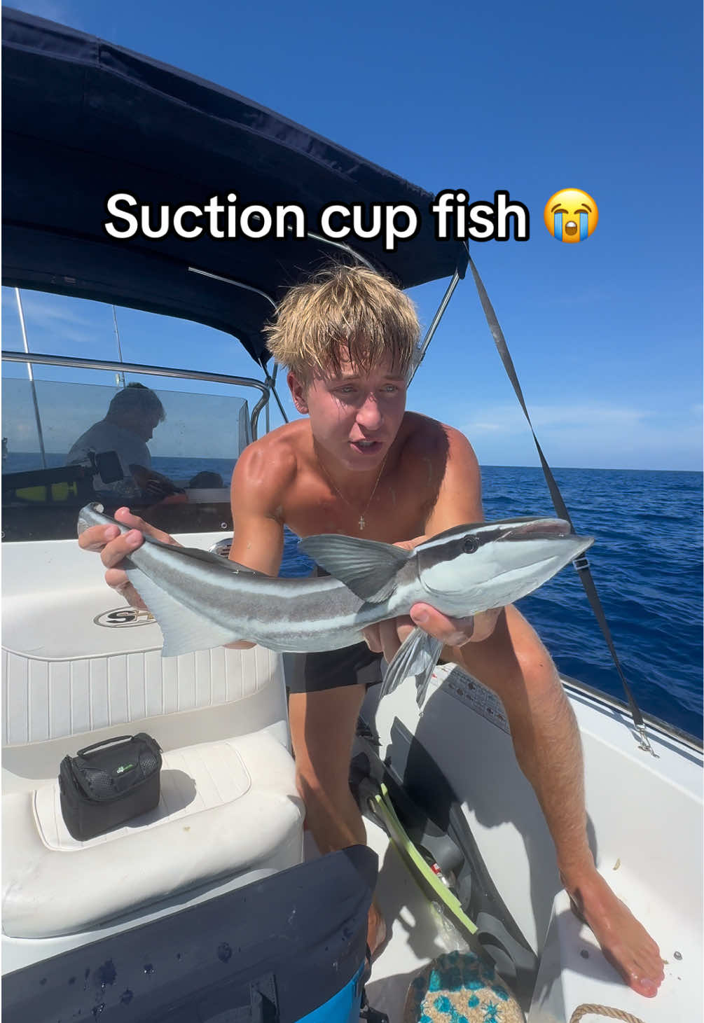 This fish sucks on you 🤨 #fishing #fish #fishtok #fishinglife #weird 