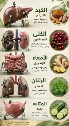 #صحة_الهضم #مقاومة_الانسولين #السعودية #explorer 