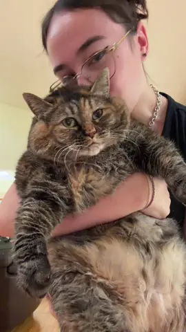 Her little meow😭😭♥️ #fyp #catsoftiktok #chonkycat #kittycat #viral 