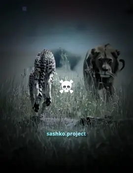 song: MONTAGEM URANIUM (Slowed) - ZAYLO ☠️ | #edit #cold #cheetah #fyp #sashkoproject 