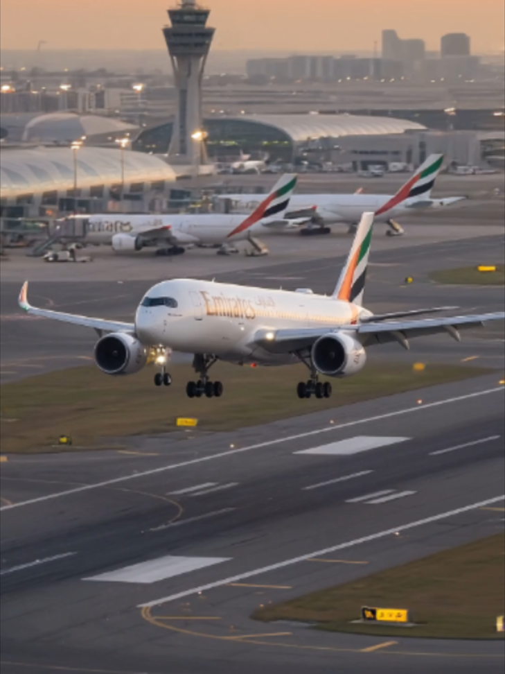 Emirates A350 Sunset Landing Over Dubai's Runway Lights #Emirates #A350 #DubaiAirport #DXB #aviation