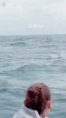 #creatorsearchinsights #alixmiamiswimsuit 